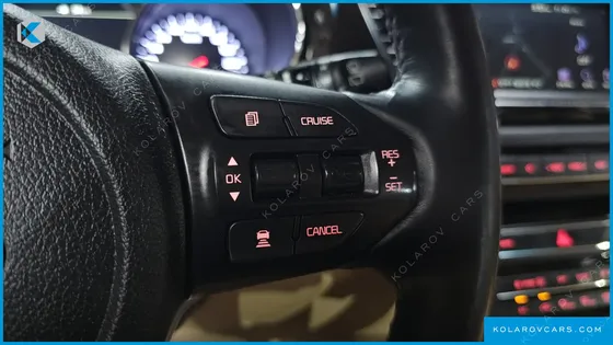 KIA CARNIVAL 9-SEATER NOBLESSE SPECIAL