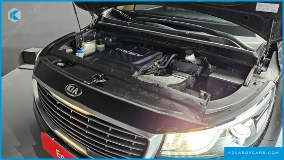 KIA CARNIVAL 9-SEATER LUXURY