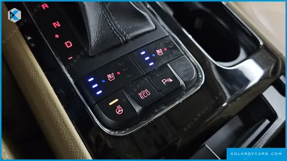 KIA CARNIVAL 9-SEATER NOBLESSE
