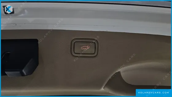 KIA CARNIVAL 9-SEATER NOBLESSE