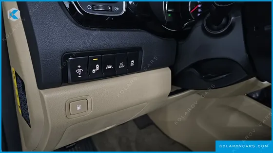 KIA CARNIVAL 9-SEATER NOBLESSE
