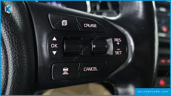 KIA CARNIVAL 9-SEATER NOBLESSE