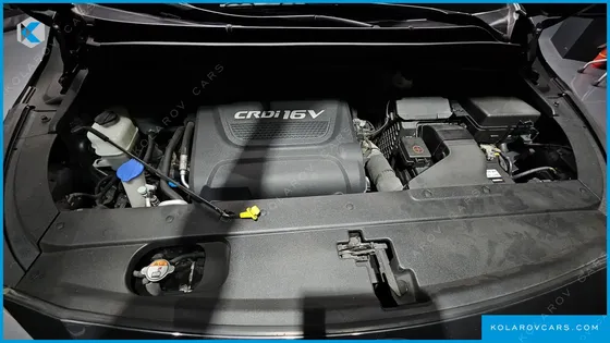 KIA CARNIVAL 9-SEATER LUXURY