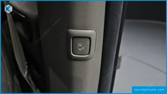 KIA CARNIVAL 9-SEATER LUXURY