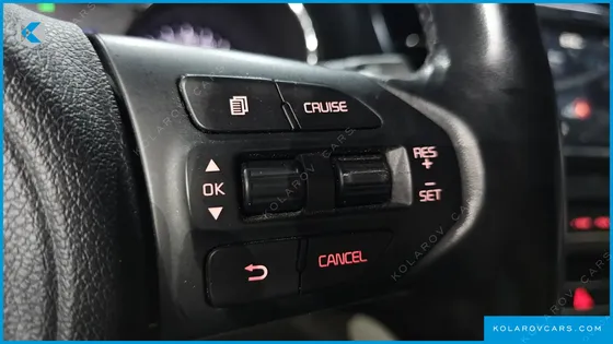 KIA CARNIVAL 9-SEATER LUXURY
