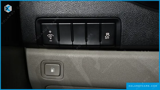 KIA CARNIVAL 9-SEATER LUXURY