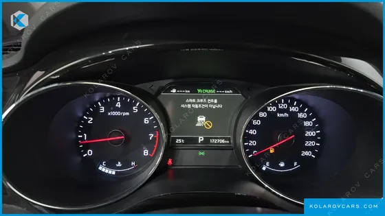 KIA CARNIVAL GASOLINE 9-SEATER NOBLESSE SPECIAL