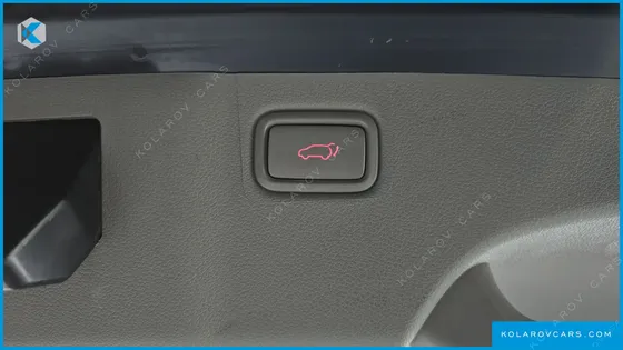 KIA CARNIVAL GASOLINE 9-SEATER NOBLESSE SPECIAL