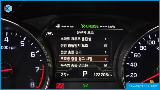 KIA CARNIVAL GASOLINE 9-SEATER NOBLESSE SPECIAL