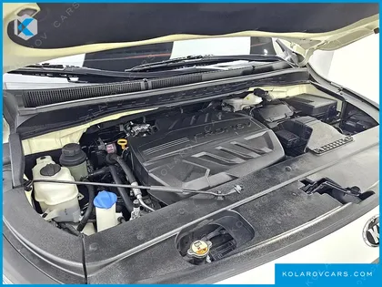 KIA CARNIVAL 9-SEATER NOBLESSE SPECIAL