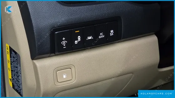 KIA CARNIVAL 9-SEATER NOBLESSE SPECIAL