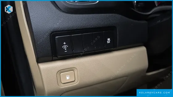 KIA CARNIVAL 9-SEATER LUXURY