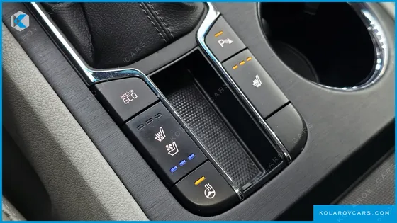 KIA CARNIVAL 9-SEATER LUXURY