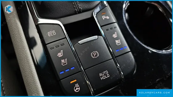 KIA CARNIVAL 9-SEATER NOBLESSE
