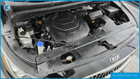 KIA CARNIVAL GASOLINE 9-SEATER NOBLESSE SPECIAL