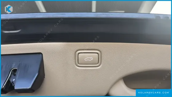 KIA CARNIVAL GASOLINE 9-SEATER NOBLESSE SPECIAL