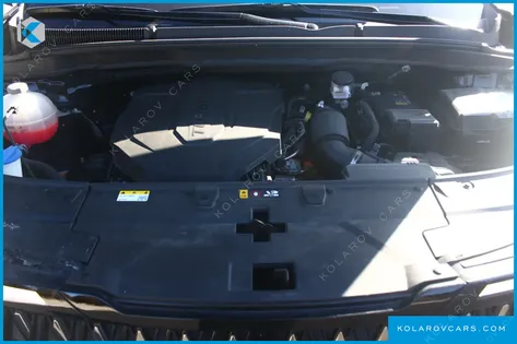 KIA CARNIVAL DIESEL 9-SEATER HI LIMOUSINE