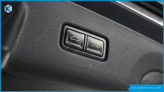 KIA CARNIVAL GASOLINE 7-SEATER GRAVITY