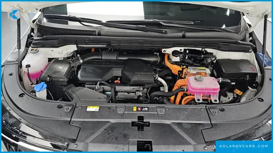 KIA CARNIVAL HEV 9SEATER SIGNATURE