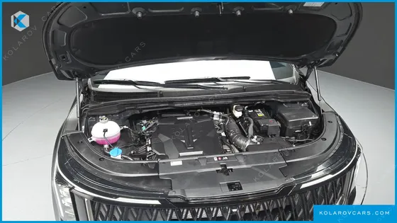 KIA CARNIVAL GASOLINE 9-SEATER SIGNATURE