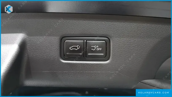 KIA CARNIVAL GASOLINE 9-SEATER SIGNATURE