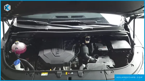 KIA CARNIVAL DIESEL 9-SEATER SIGNATURE