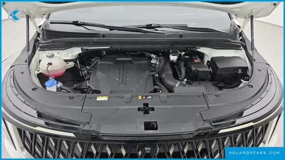 KIA CARNIVAL GASOLINE 9-SEATER SIGNATURE