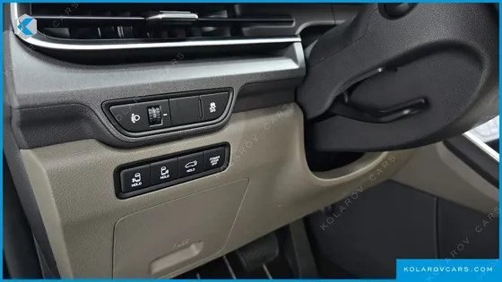 KIA CARNIVAL GASOLINE 4-SEATER HI LIMOUSINE (SPECIAL)