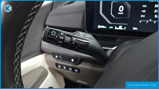 KIA CARNIVAL GASOLINE 4-SEATER HI LIMOUSINE (SPECIAL)