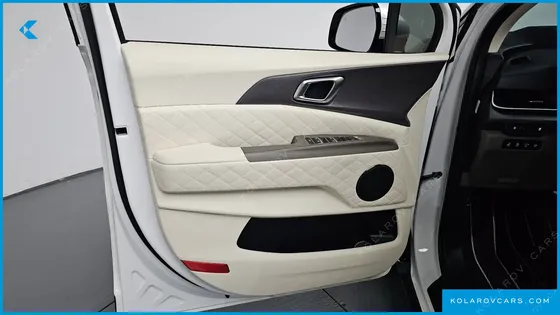 KIA CARNIVAL GASOLINE 4-SEATER HI LIMOUSINE (SPECIAL)