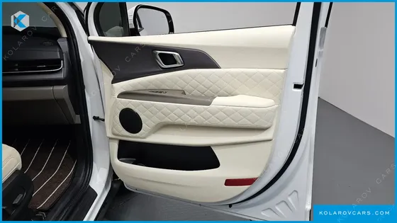 KIA CARNIVAL GASOLINE 4-SEATER HI LIMOUSINE (SPECIAL)