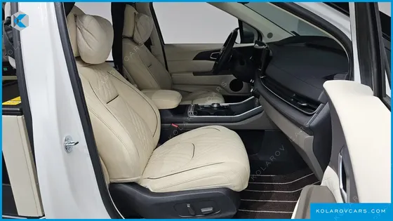 KIA CARNIVAL GASOLINE 4-SEATER HI LIMOUSINE (SPECIAL)