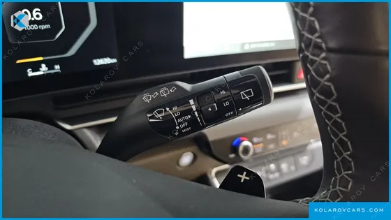 KIA CARNIVAL GASOLINE 4-SEATER HI LIMOUSINE (SPECIAL)