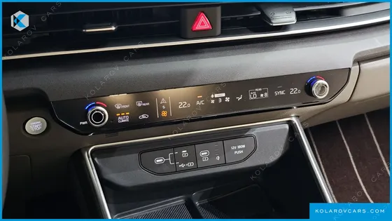 KIA CARNIVAL GASOLINE 4-SEATER HI LIMOUSINE (SPECIAL)