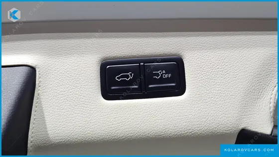 KIA CARNIVAL GASOLINE 4-SEATER HI LIMOUSINE (SPECIAL)