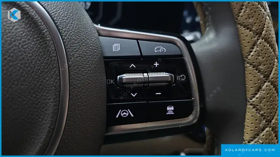KIA CARNIVAL DIESEL 9-SEATER HI LIMOUSINE (SPECIAL VEHICLE)