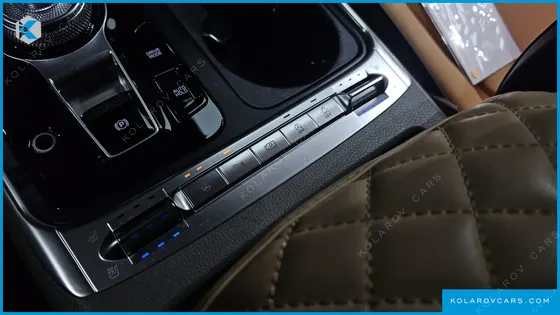 KIA CARNIVAL DIESEL 9-SEATER HI LIMOUSINE (SPECIAL VEHICLE)