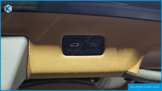 KIA CARNIVAL DIESEL 9-SEATER HI LIMOUSINE (SPECIAL VEHICLE)