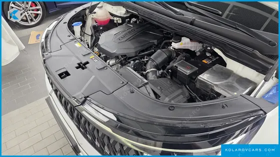KIA CARNIVAL DIESEL 9-SEATER SIGNATURE