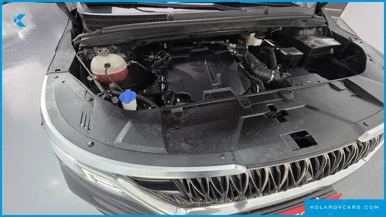 KIA CARNIVAL GASOLINE 9-SEATER NOBLESSE