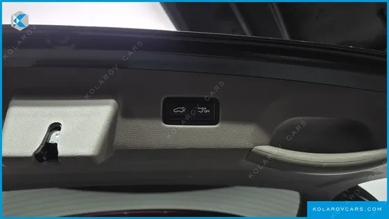 KIA CARNIVAL GASOLINE 9-SEATER NOBLESSE