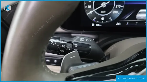 KIA CARNIVAL GASOLINE 9-SEATER NOBLESSE