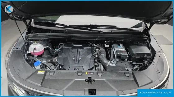 KIA CARNIVAL GASOLINE 4-SEATER HI-LIMOUSINE