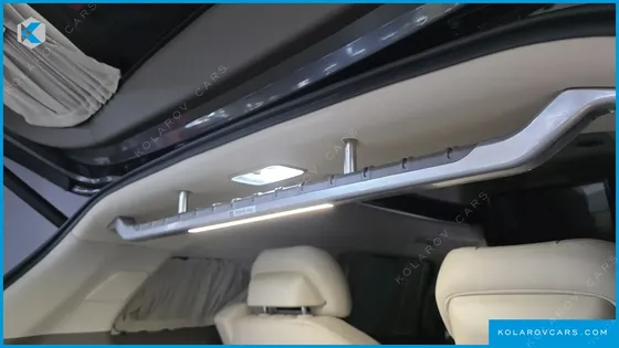 KIA CARNIVAL GASOLINE 4-SEATER HI-LIMOUSINE