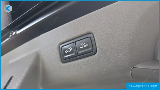 KIA CARNIVAL GASOLINE 4-SEATER HI-LIMOUSINE