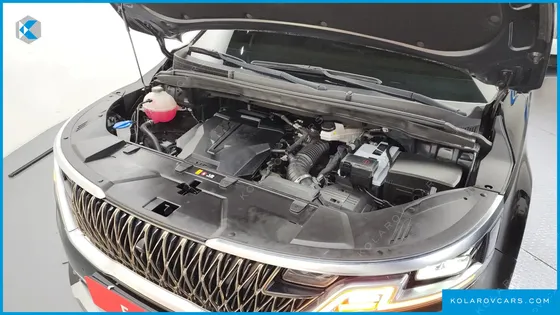 KIA CARNIVAL GASOLINE 7-SEATER HI-LIMOUSINE