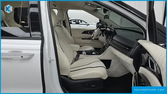KIA CARNIVAL GASOLINE 9-SEATER LIMOUSINE(SPECIAL VEHICLE)
