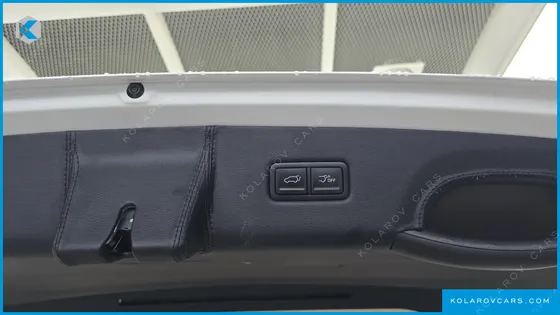 KIA CARNIVAL GASOLINE 9-SEATER LIMOUSINE(SPECIAL VEHICLE)