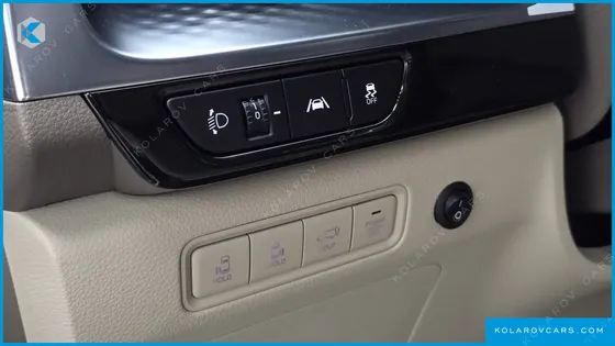 KIA CARNIVAL GASOLINE 9-SEATER HI-LIMOUSINE