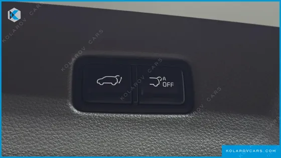 KIA CARNIVAL GASOLINE 9-SEATER HI-LIMOUSINE